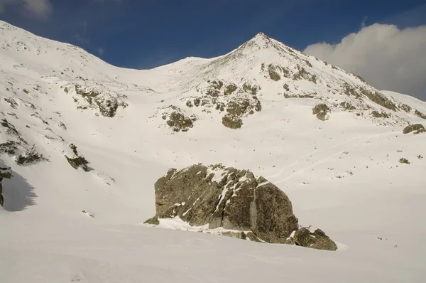 Paisaje invernal en la montaña Retezat, Rumania —  Fotos de Stock