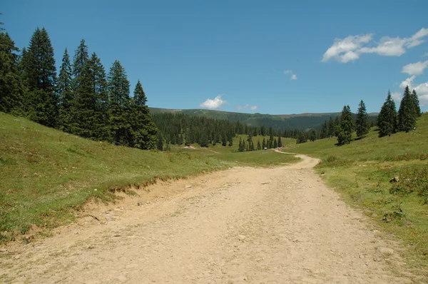 Kurvenreicher Feldweg einen Berg hinauf — Stockfoto