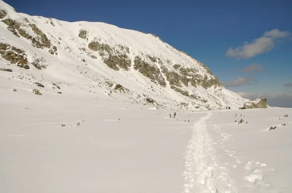 Kış manzara retezat mountain, romania — Stok fotoğraf