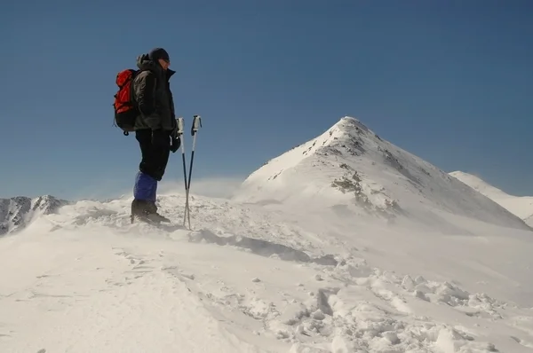 Kış manzara retezat mountain, romania — Stok fotoğraf