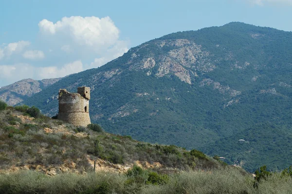 Genuaanse toren in corsica — Stockfoto