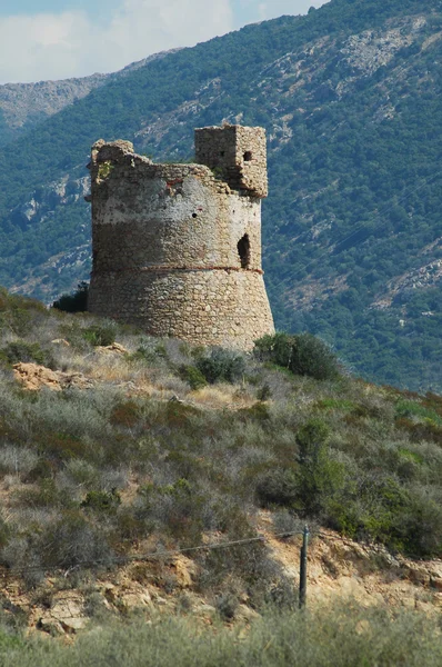 Torre de genovese na Córsega — Fotografia de Stock