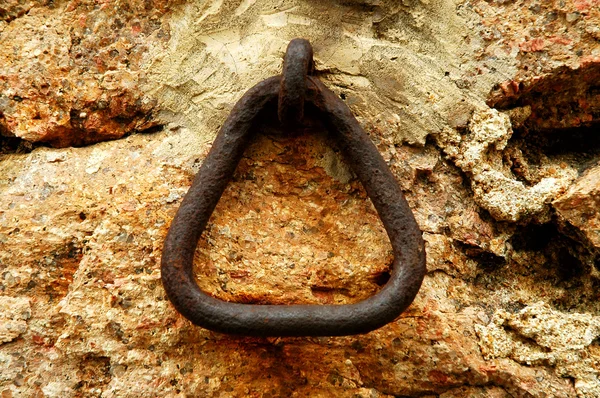 A falon régi ló-gyűrű — Stock Fotó