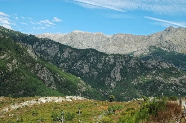 Binnenland corsica bergen — Stockfoto