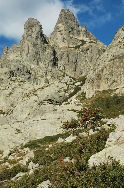 Inland Corsica - Splendid Restonica Valley — Stock Photo, Image