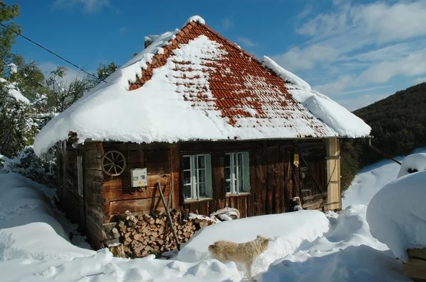 Maison couverte de neige en hiver — Photo