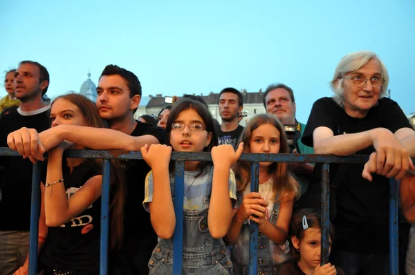 Audiência pública num concerto — Fotografia de Stock