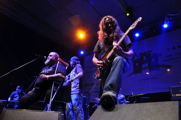 Live rock concert — Stock Photo, Image