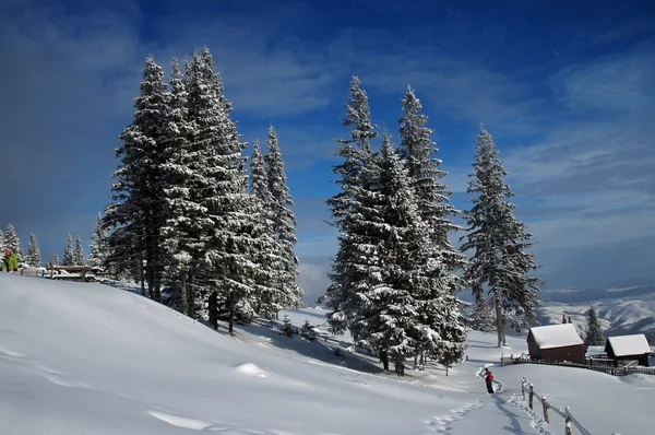 Зима в горах — стоковое фото
