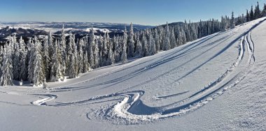 Winter in the mountains panorama clipart