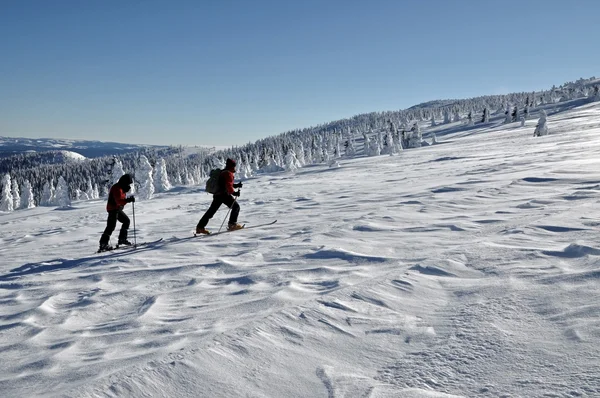高山ツーリング スキーヤー — ストック写真