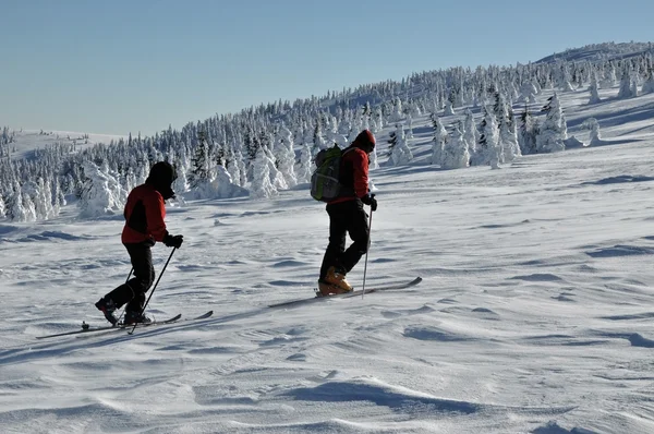 Esquiadores alpinos de touring —  Fotos de Stock
