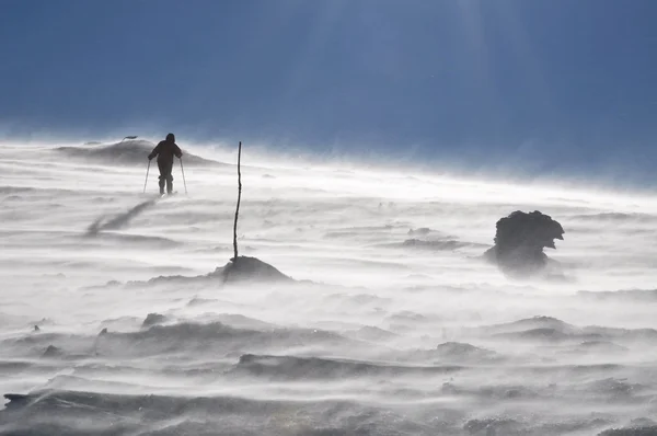 Seul skieur alpin de randonnée — Photo