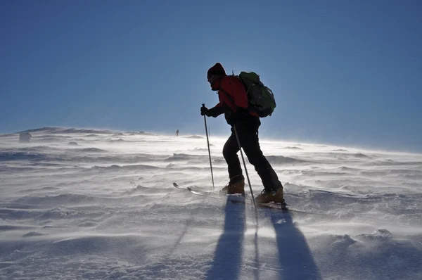 単独で高山ツーリング スキーヤー — ストック写真
