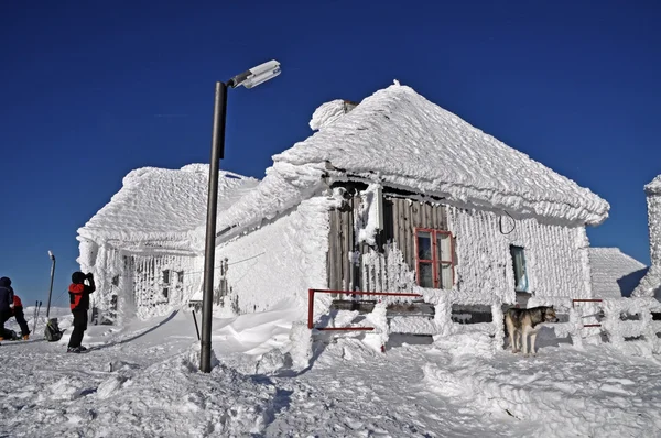 Una stazione meteorologica coperta di ghiaccio — Foto Stock