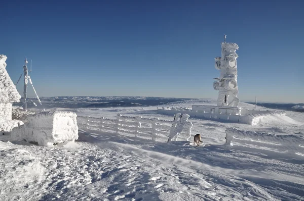 Метеорологічна станція покрита льодом — стокове фото