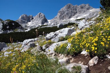 Durmitor National Park, Montenegro clipart