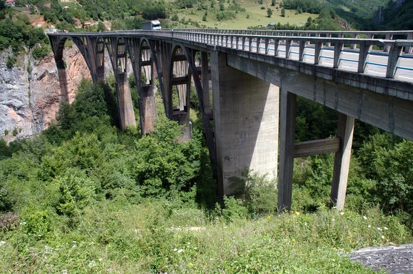 Мост через каньон Тары. Всемирное наследие ЮНЕСКО, Черногория — стоковое фото