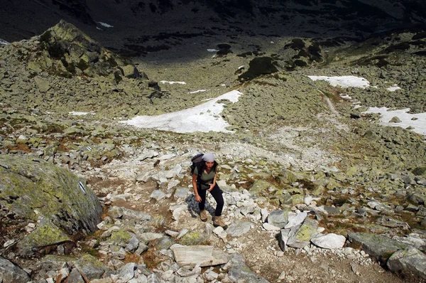 Chica excursionista en las montañas —  Fotos de Stock