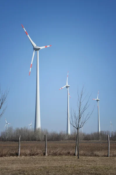 Strom erzeugende Windräder — Stockfoto
