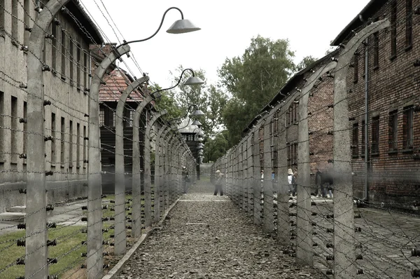 Bild aus Auschwitz — Stockfoto