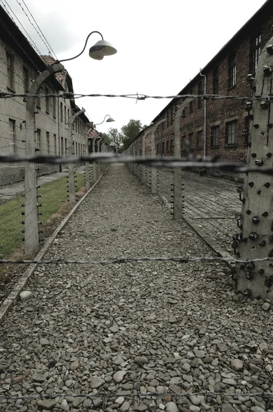 Auschwitz — Stock Fotó