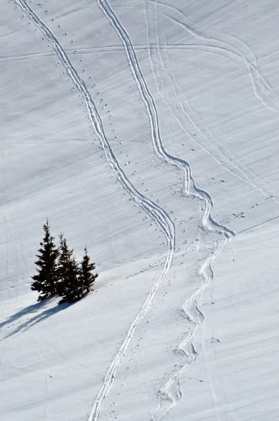 Snow background with ski and snowboard tracks — Stock Photo, Image