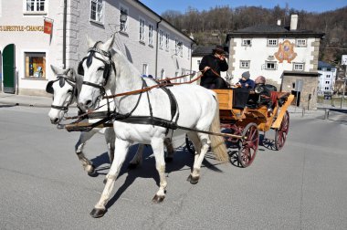 at arabası turistler de salzburg, Avusturya ile tahrik