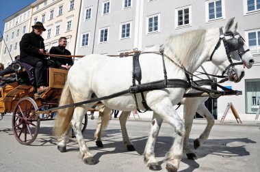 at arabası turistler de salzburg, Avusturya ile tahrik