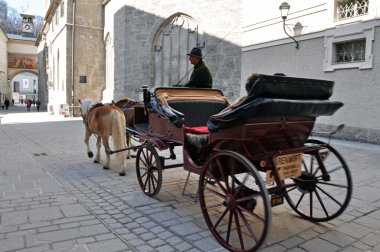 at arabası turistler de salzburg, Avusturya ile tahrik