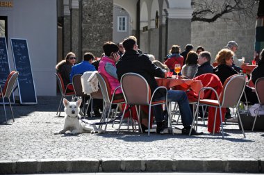 turistler rahatlatıcı Salzburg tarihi merkezi