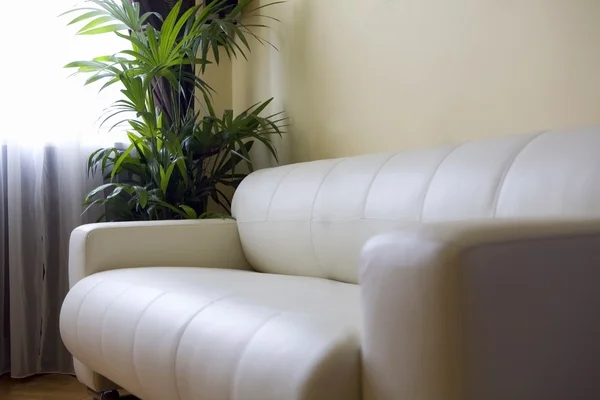 白い革張りのソファと部屋 — ストック写真