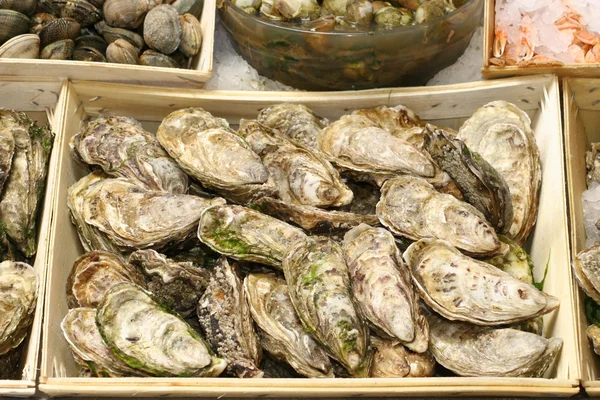 stock image Sea food market
