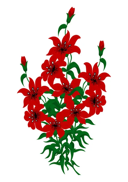 Bouquet of beautiful red lilies — Stock Vector