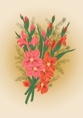 Pink and red gladioluses clipart