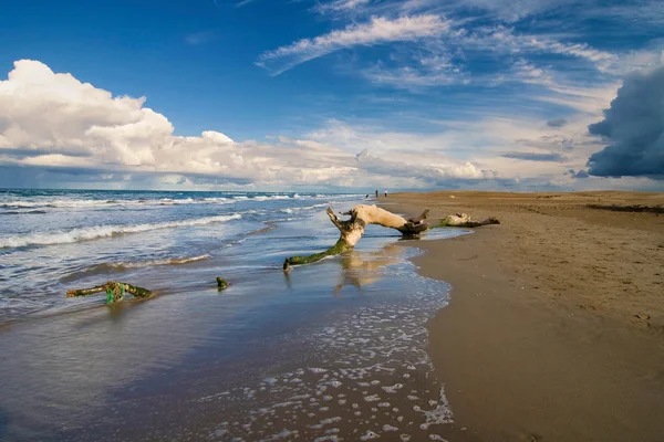 Kofferbak op een strand — Stockfoto