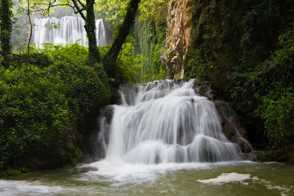 Waterfall in the forest — Stock Photo, Image