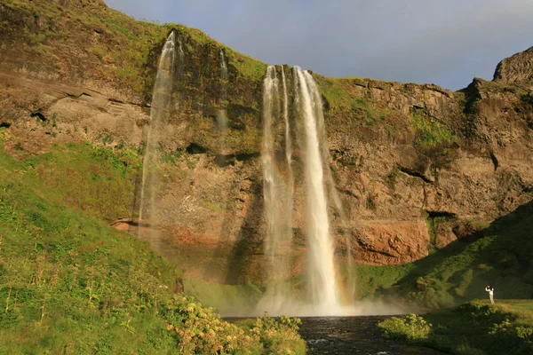 Icelandic waterfall — Stock Photo, Image