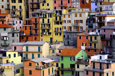 Houses at Manarola - Cinque Terre clipart