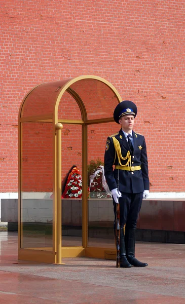 Guard of Honour at the tomb of the Unknown Soldier