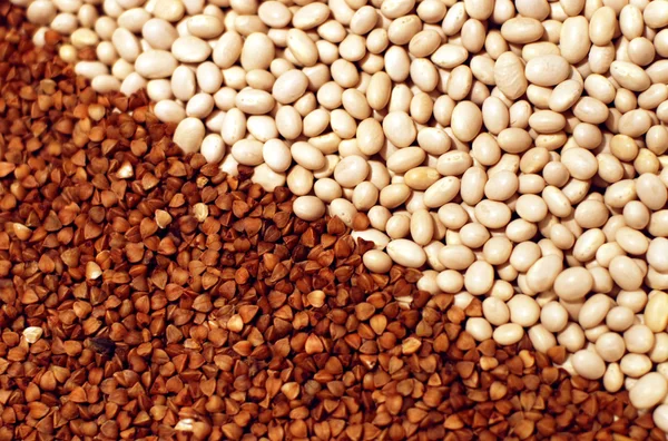 Raw white beans and buckwheat vegatarian food diagonal composition
