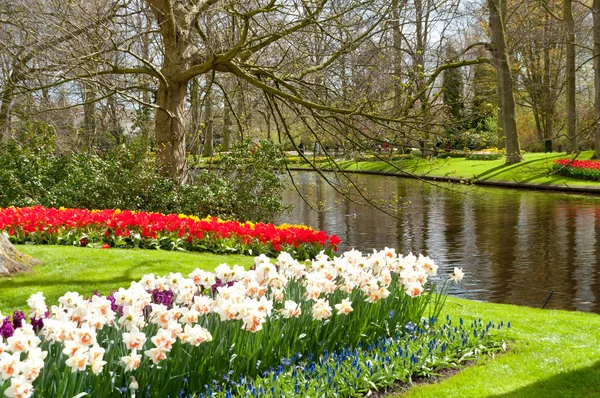 Beautiful spring gardens — Stock Photo, Image