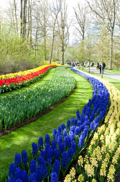 Bonito canteiro de flores primavera no jardim do parque — Fotografia de Stock