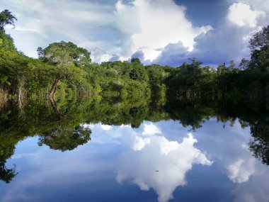 Amazon river, Brazil clipart