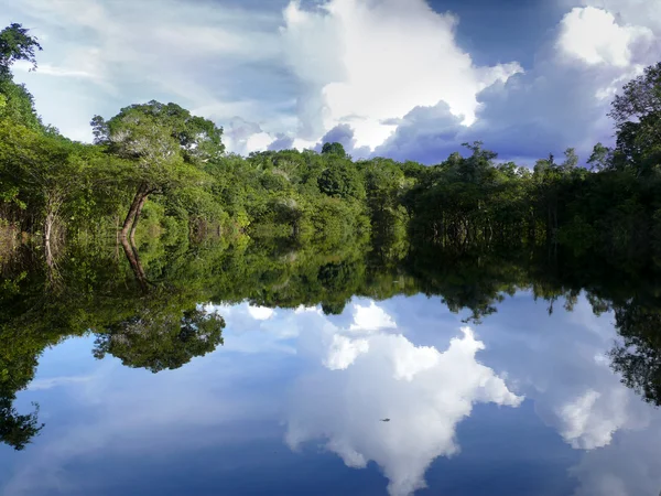 Amazon nehri, Brezilya — Stok fotoğraf