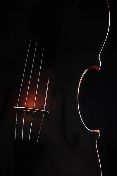 バイオリンの音楽 — ストック写真
