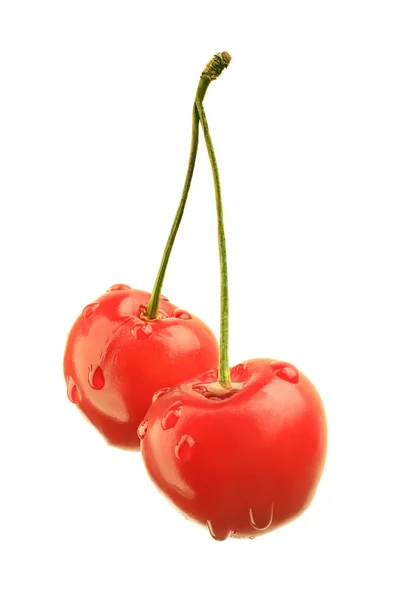 Two fresh cherry — Stock Photo, Image