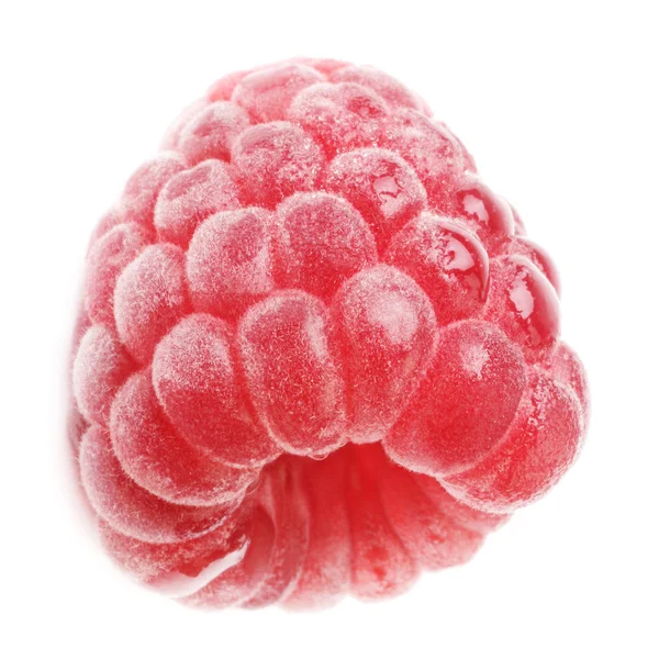 Raspberry isolated one — Stock Photo, Image