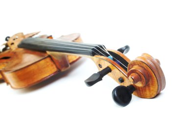 Violin musical instrument. clipart