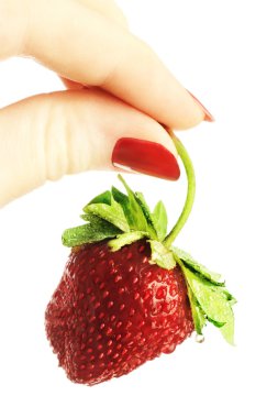 Strawberry in hand. clipart